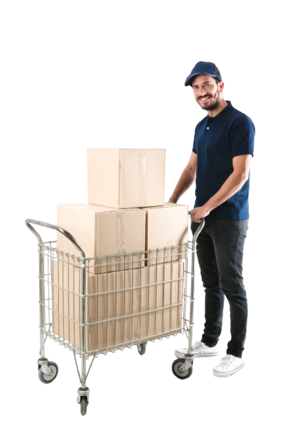Wholesale Fashion
